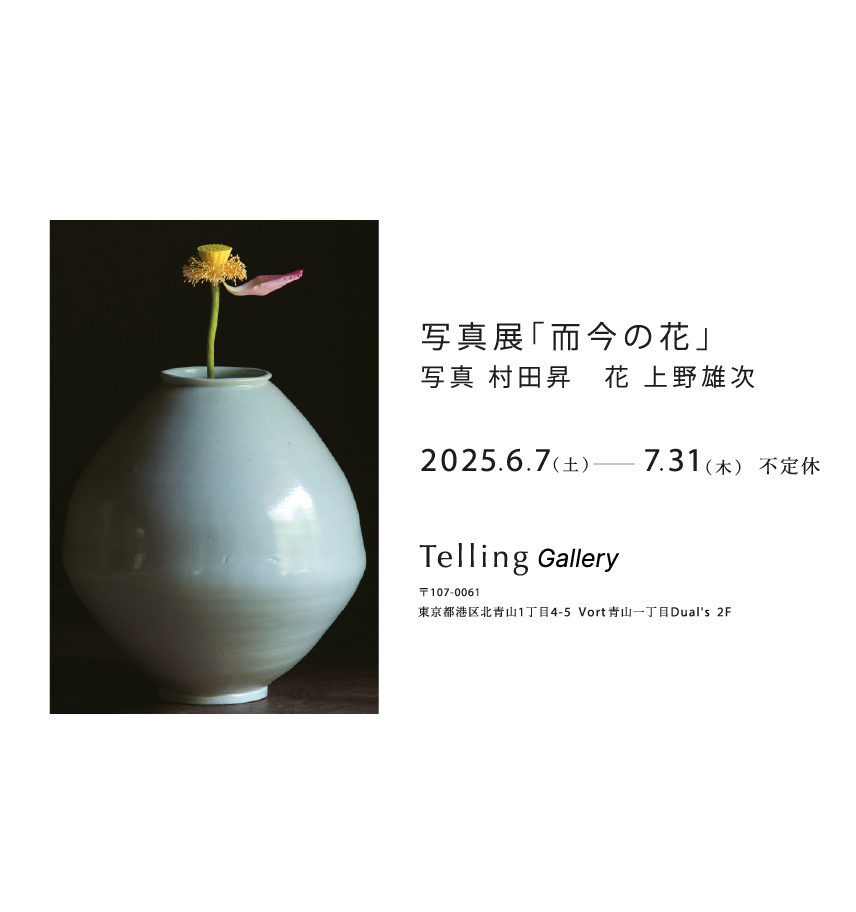 写真展「而今の花」